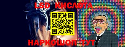 молекула духа Камышлов