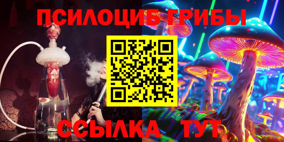 Геленджик  Галлюциногенные грибы Psilocybine cubensis  Вход с VPN 