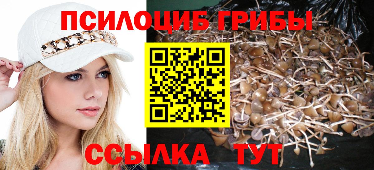 Псилоцибиновые грибы мицелий Геленджик
